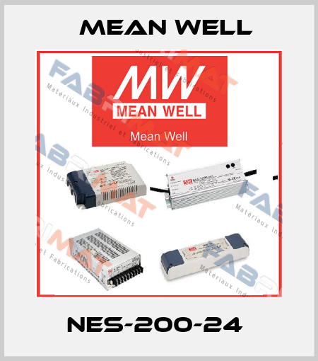 NES-200-24  Mean Well