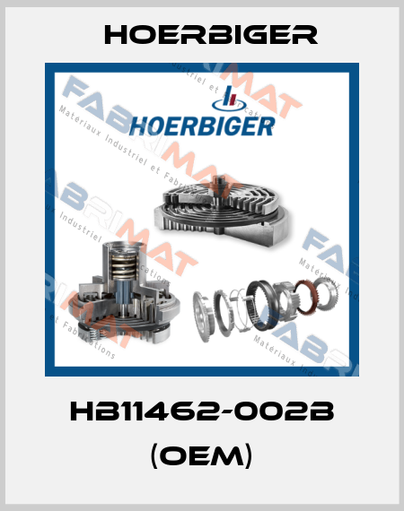 HB11462-002B (OEM) Hoerbiger