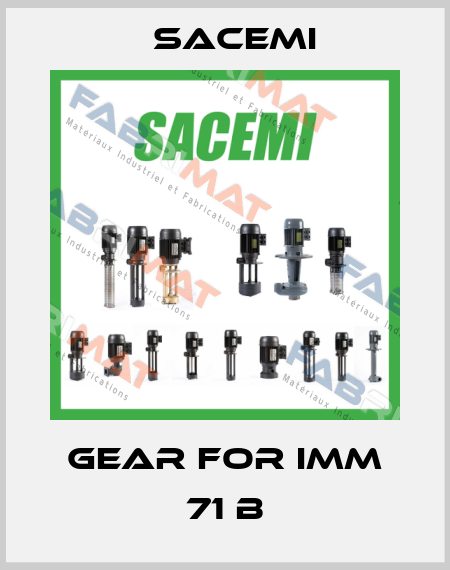 Gear For IMM 71 B Sacemi