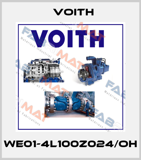 WE01-4L100Z024/OH Voith