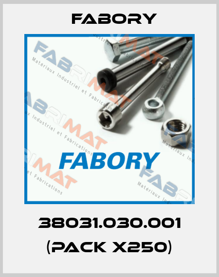 38031.030.001 (pack x250) Fabory