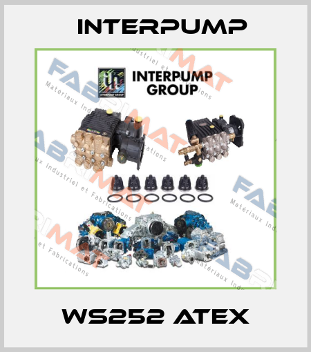 WS252 ATEX Interpump