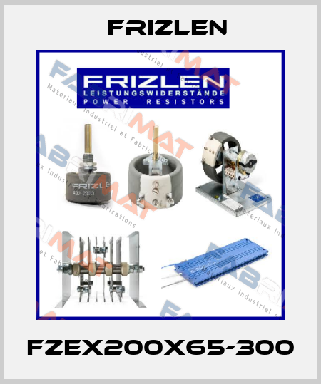 FZEX200X65-300 Frizlen