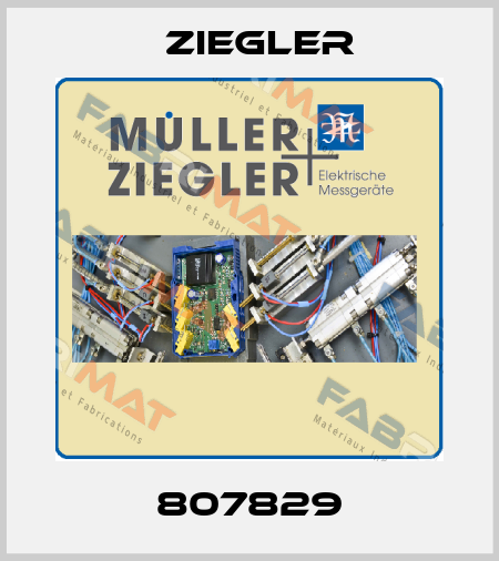 807829 Ziegler