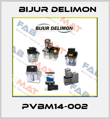 PVBM14-002 Bijur Delimon