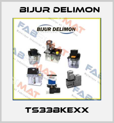 TS33BKEXX Bijur Delimon