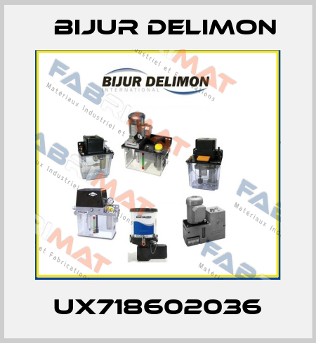 UX718602036 Bijur Delimon