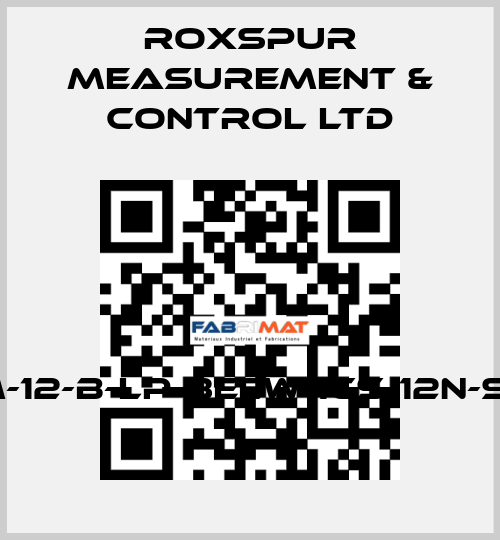 FMM-12-B-LP-3EEW-1CS-12N-S1-D4 Roxspur Measurement & Control Ltd