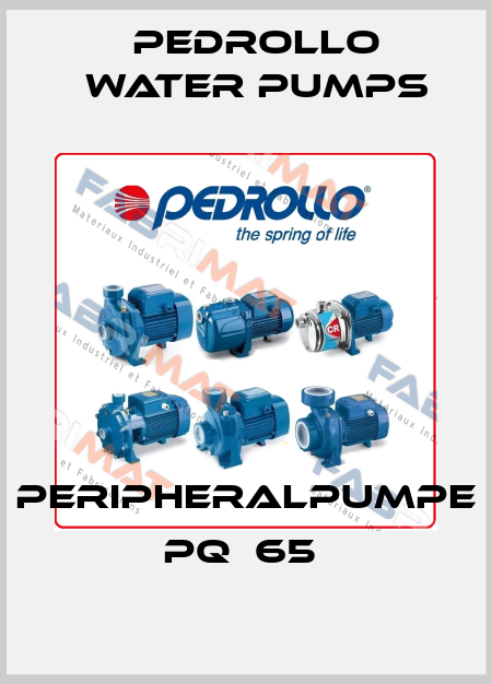 PERIPHERALPUMPE    PQ  65  Pedrollo Water Pumps
