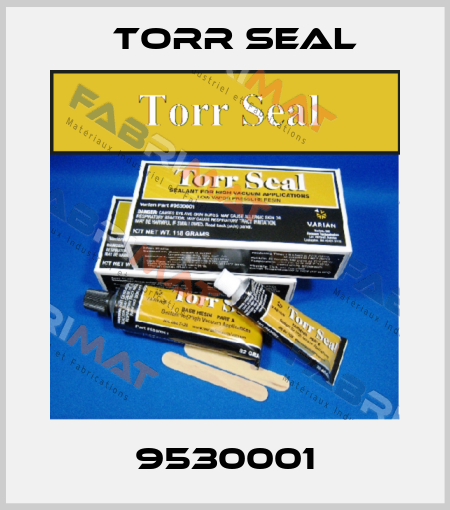 9530001 Torr seal