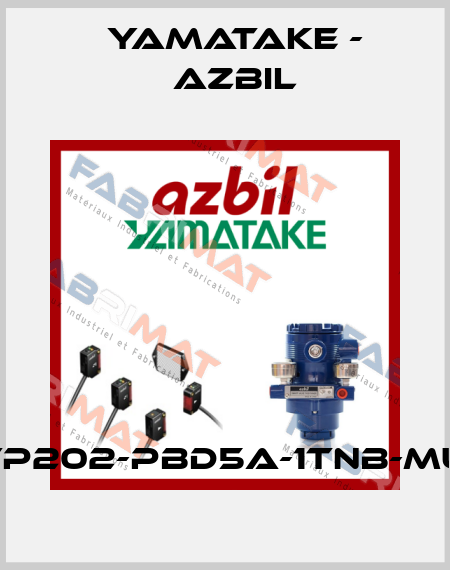 AVP202-PBD5A-1TNB-MUW Yamatake - Azbil