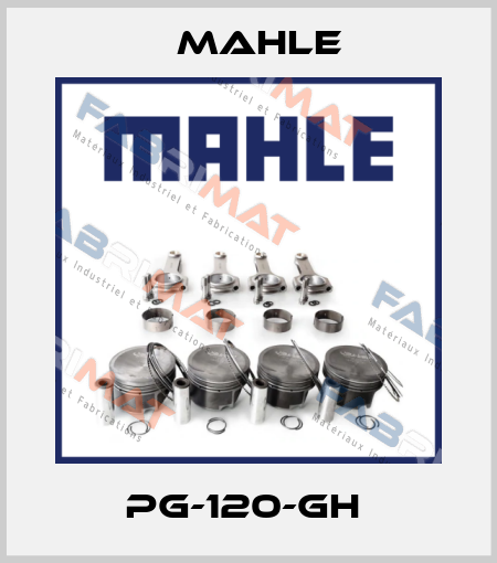 PG-120-GH  MAHLE