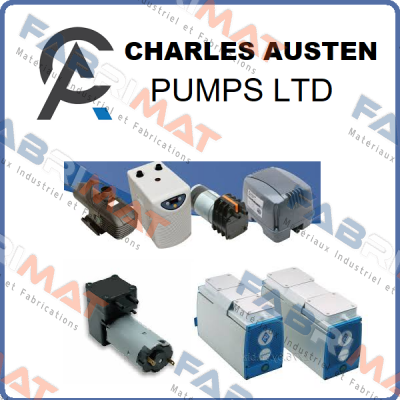 X87-302 Charles Austen Pumps