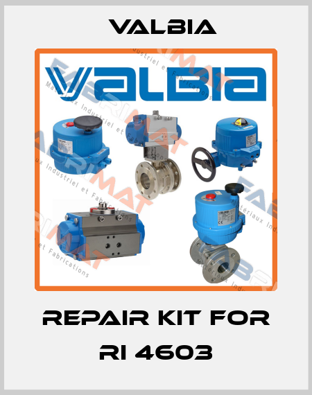 repair kit for RI 4603 Valbia