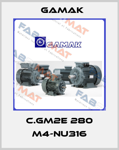 C.GM2E 280 M4-NU316 Gamak
