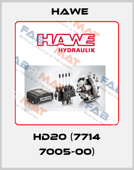 HD20 (7714 7005-00) Hawe
