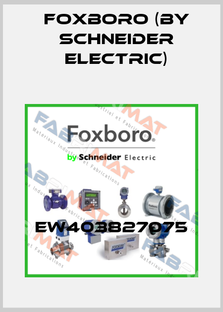 EW403827075 Foxboro (by Schneider Electric)