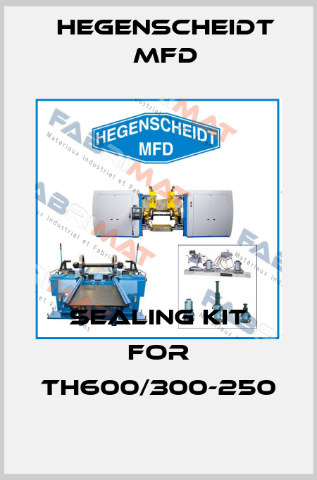 Sealing Kit for TH600/300-250 Hegenscheidt MFD