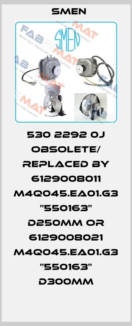530 2292 0J obsolete/ replaced by 6129008011 M4Q045.EA01.G3 "550163" D250mm or 6129008021 M4Q045.EA01.G3 "550163" D300mm Smen