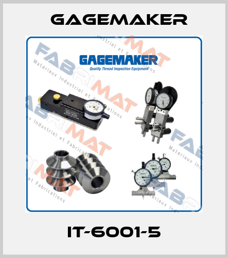 IT-6001-5 Gagemaker