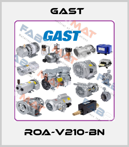 ROA-V210-BN Gast