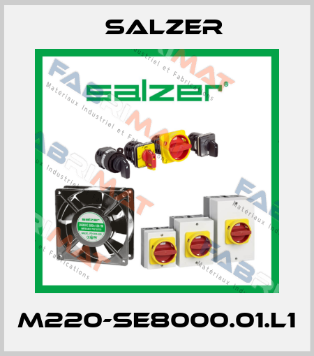 M220-SE8000.01.L1 Salzer