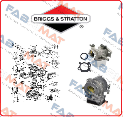 797011-BRI Briggs-Stratton