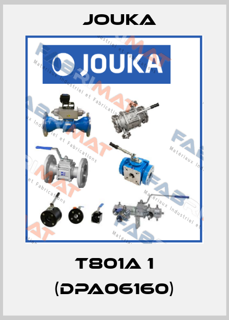 T801A 1 (DPA06160) Jouka