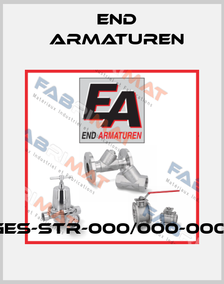 GES-STR-000/000-0001 End Armaturen