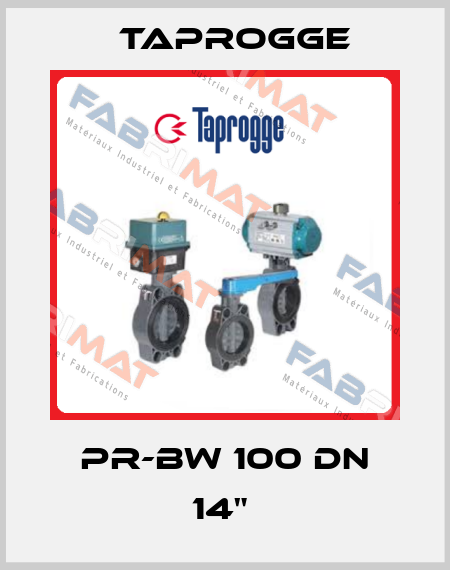 PR-BW 100 DN 14"  Taprogge