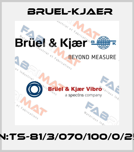 P/N:TS-81/3/070/100/0/254 Bruel-Kjaer