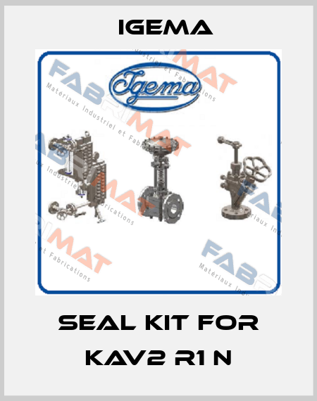 Seal kit for KAV2 R1 N Igema