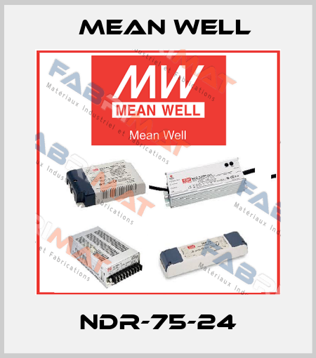 NDR-75-24 Mean Well