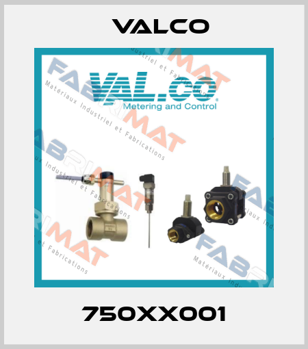 750XX001 Valco