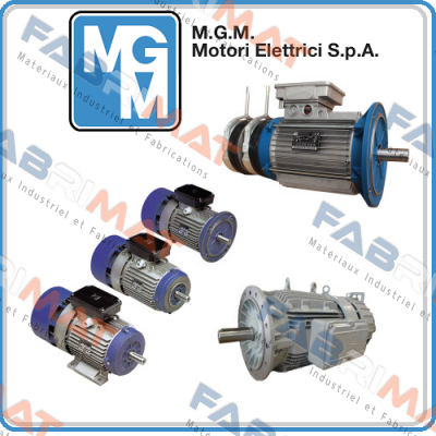 BA 180 LB4 (BA180LB4-B5-400/690V) M.G.M MOTORI