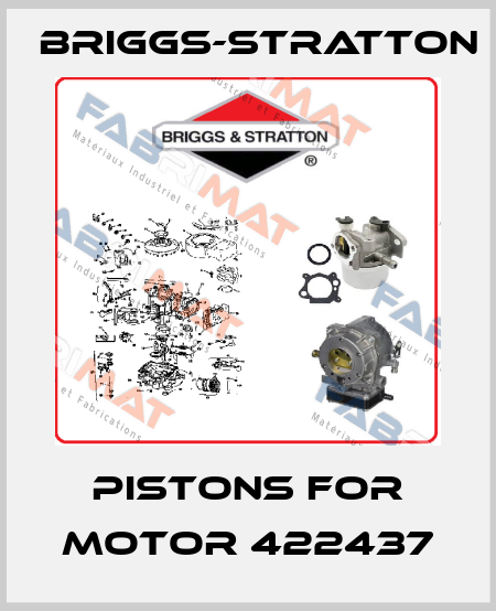Pistons for motor 422437 Briggs-Stratton
