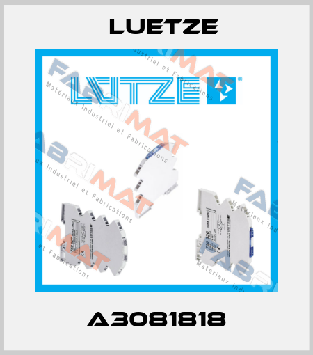A3081818 Luetze