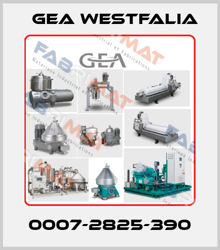 0007-2825-390 Gea Westfalia