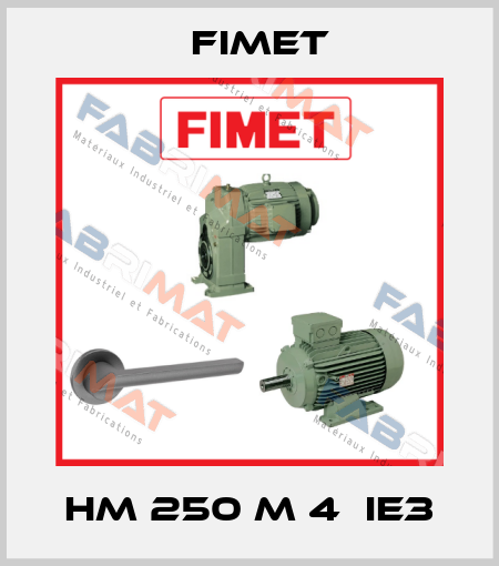 HM 250 M 4  IE3 Fimet