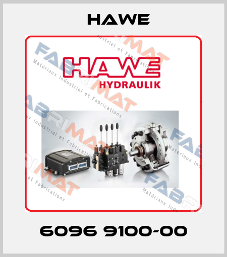 6096 9100-00 Hawe