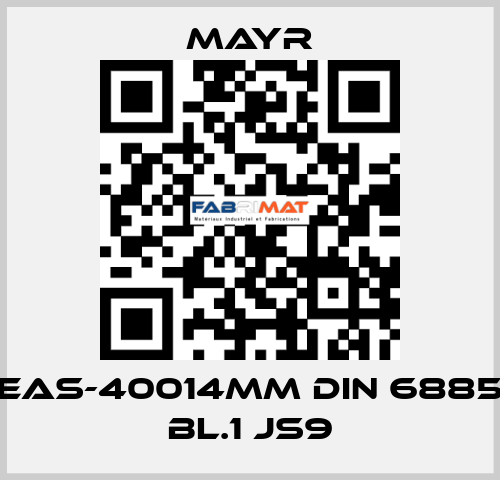 EAS-40014MM DIN 6885 BL.1 JS9 Mayr