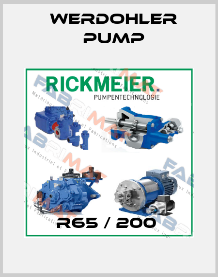 R65 / 200  Werdohler Pump