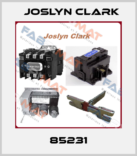 85231 Joslyn Clark