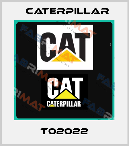 T02022 Caterpillar