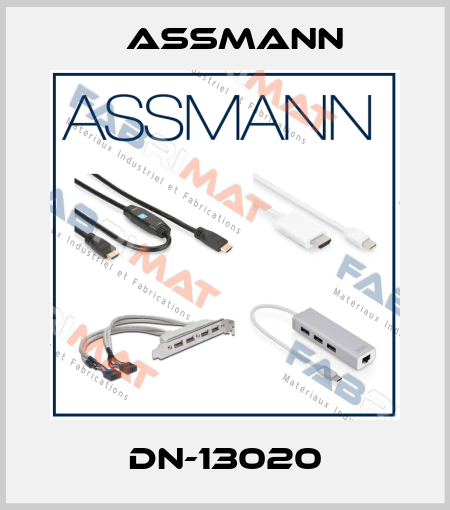 DN-13020 Assmann