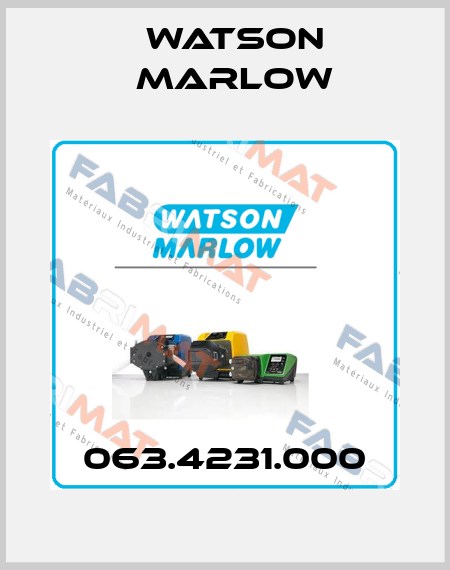 063.4231.000 Watson Marlow