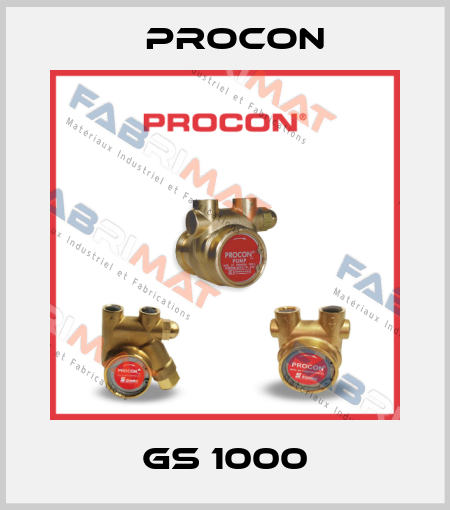 GS 1000 Procon