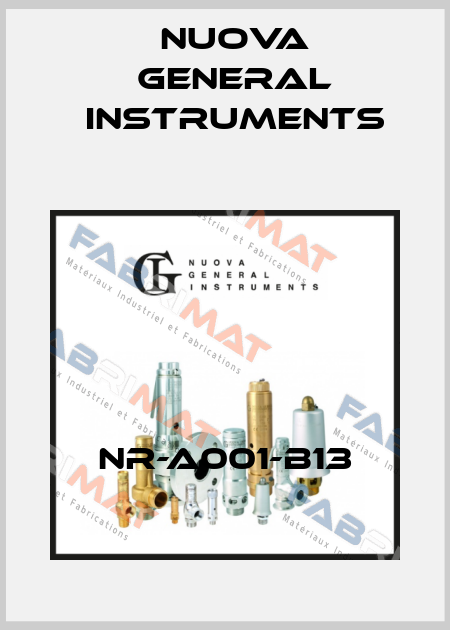 NR-A001-B13 Nuova General Instruments