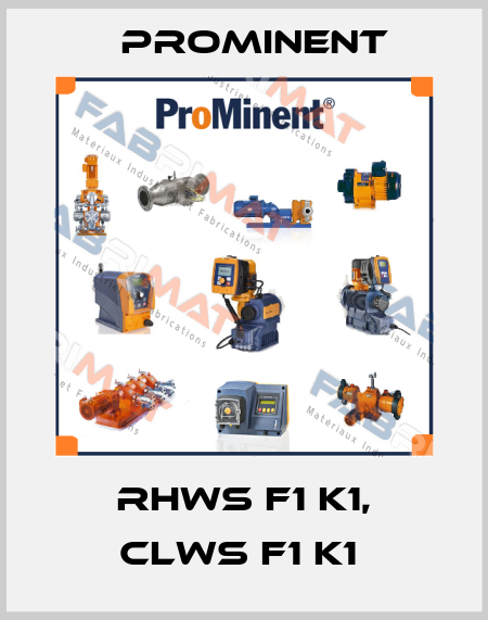 RHWS F1 K1, CLWS F1 K1  ProMinent