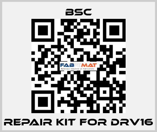 repair kit for DRV16 BSC